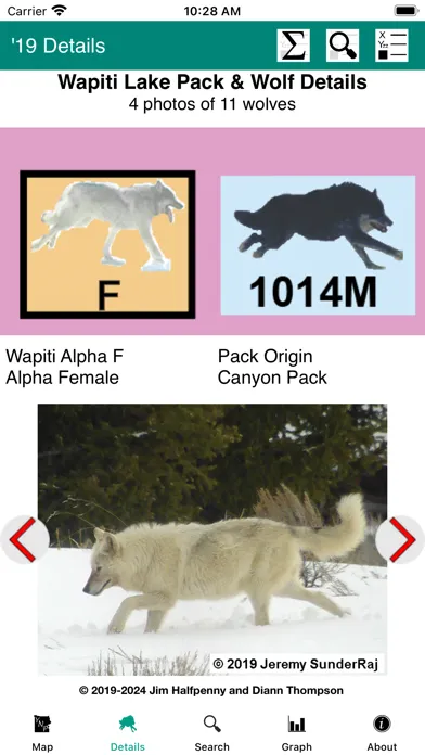 Yellowstone Wolves: The Years Screenshots