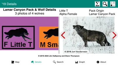 Yellowstone Wolves: The Years Screenshots