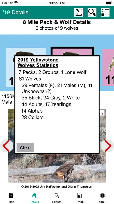 Yellowstone Wolves: The Years Screenshots