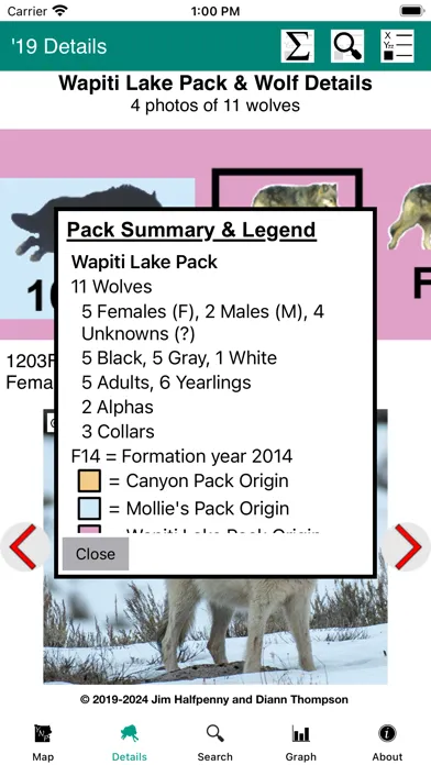 Yellowstone Wolves: The Years Screenshots