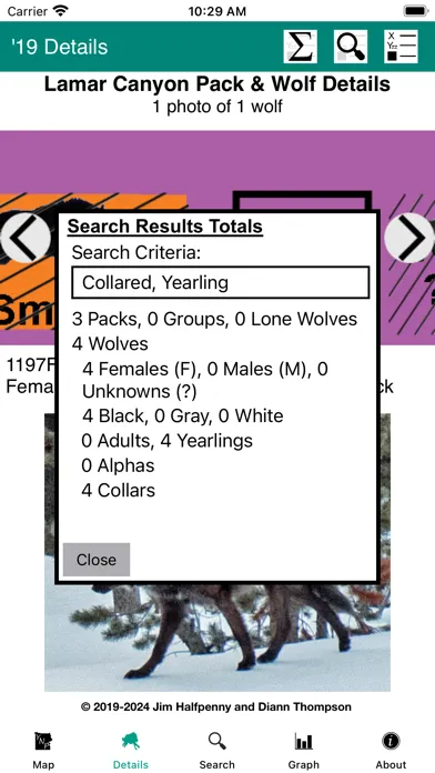 Yellowstone Wolves: The Years Screenshots