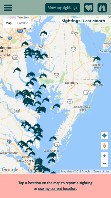 Captures d'écran de Chesapeake Dolphin Watch
