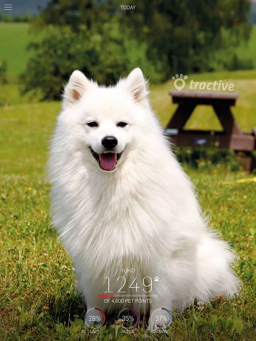 Capturas de tela do Tractive MOTION iPad 