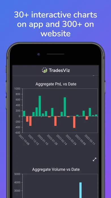Скриншоты TradesViz Trading Journal