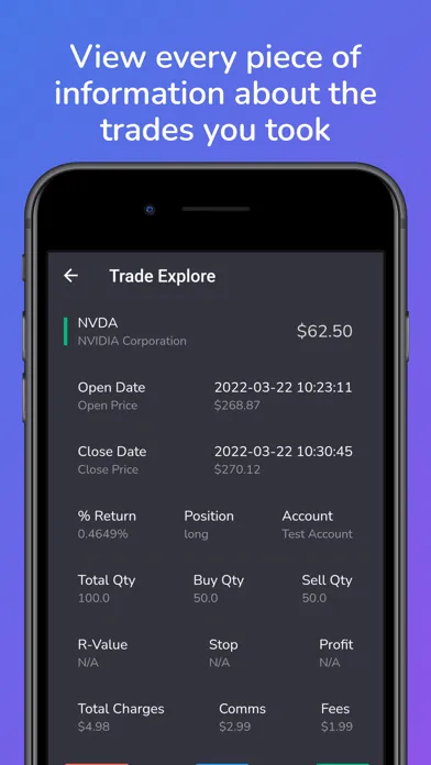 Скриншоты TradesViz Trading Journal