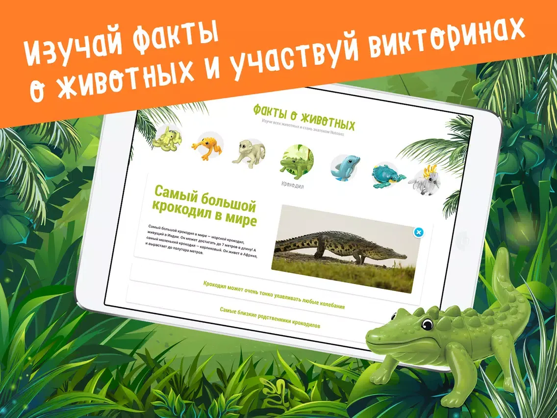 صور Kinder "Любимые животные" iPad 