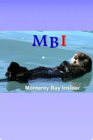 Captures d'écran de Monterey Bay Insider