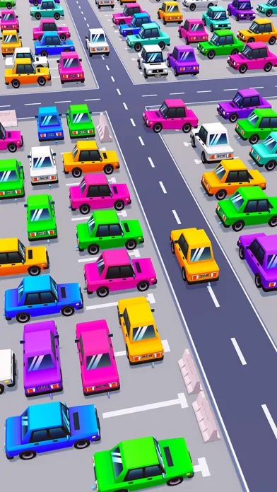 Rush Madness: Car Parking Game应用截图