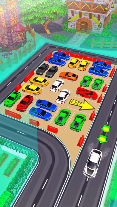 Rush Madness: Car Parking Game应用截图