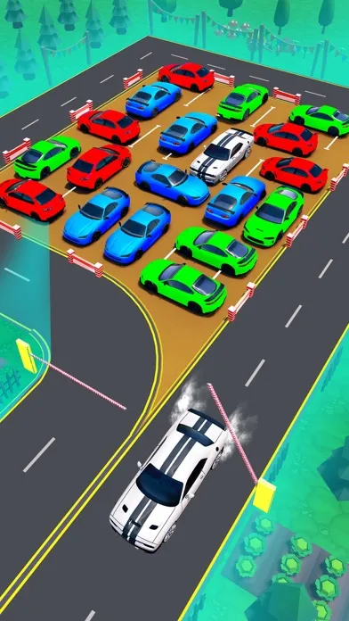 Rush Madness: Car Parking Game应用截图