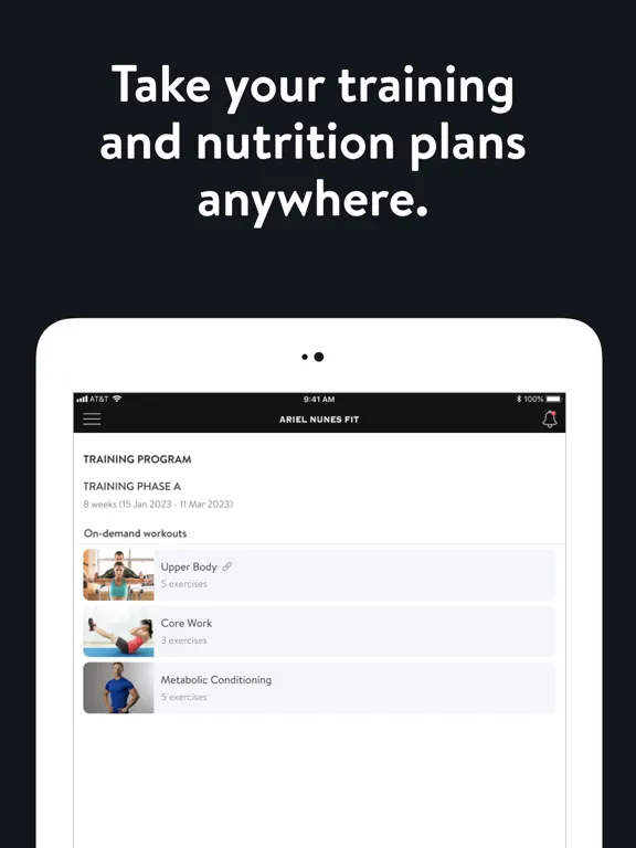 ภาพหน้าจอของ Ariel Nunes Fit iPad 