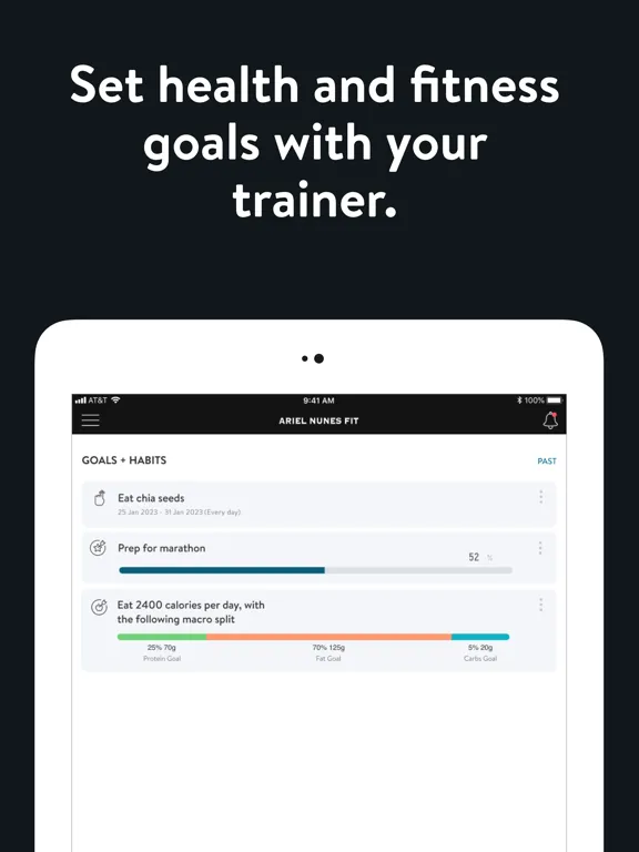ภาพหน้าจอของ Ariel Nunes Fit iPad 