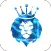 Lions Lifestyle Studio