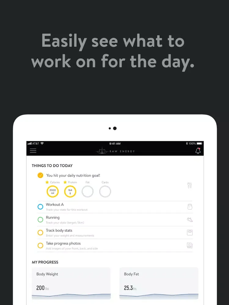 Raw Energy iPad 應用截圖