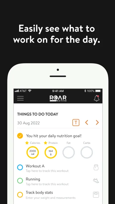 Tangkapan skrin ROAR Active Coaching Platform