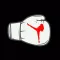 Roden HIIT Kickboxing