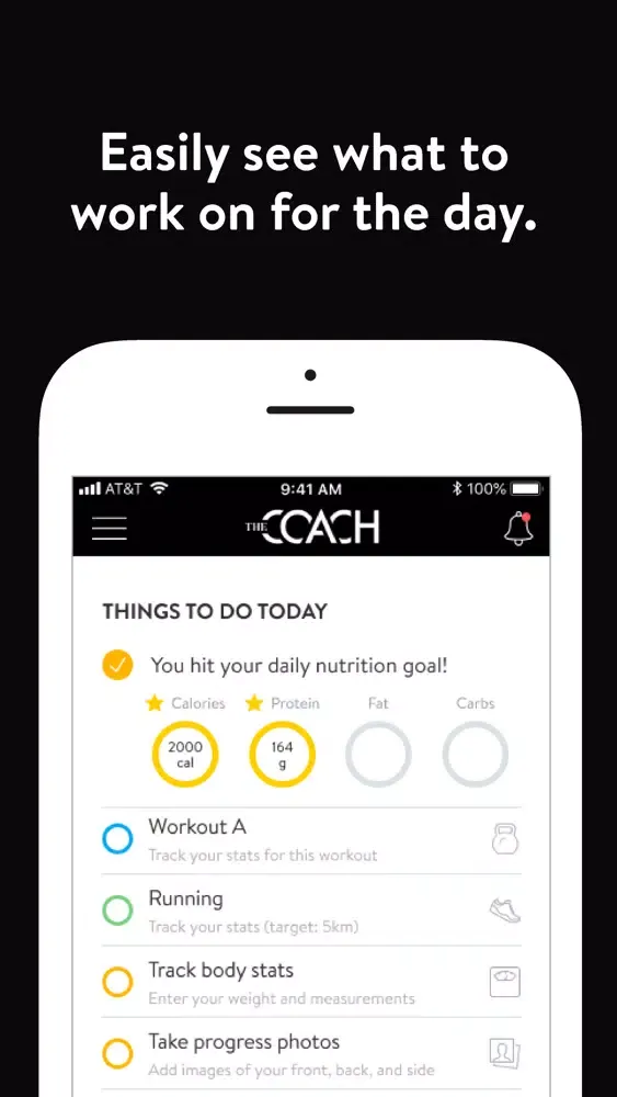 Zrzuty ekranu The Coach Online