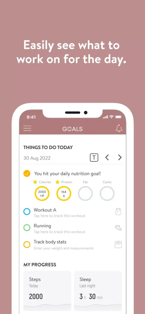 Скриншоты The Path to Goals