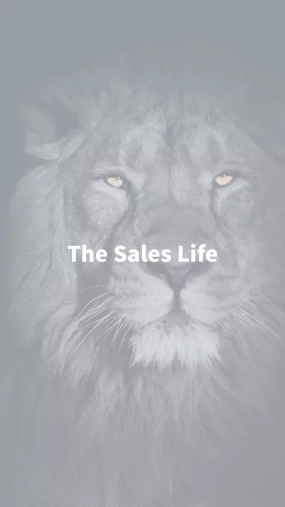 Captures d'écran de The Sales Life