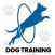 Dog Training & Pet Care Tricks