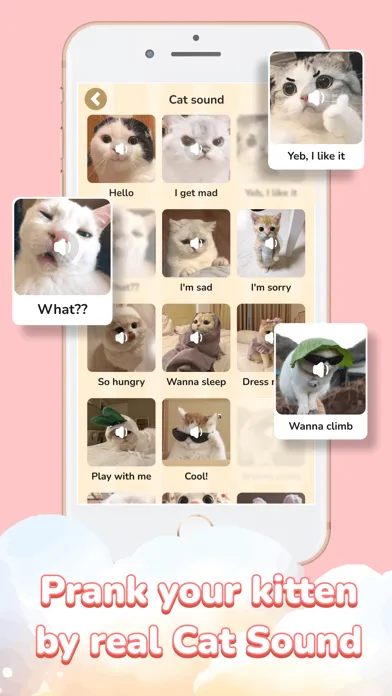 Cat simulator super stylist應用截圖