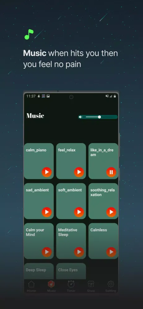 Calm Sounds应用截图