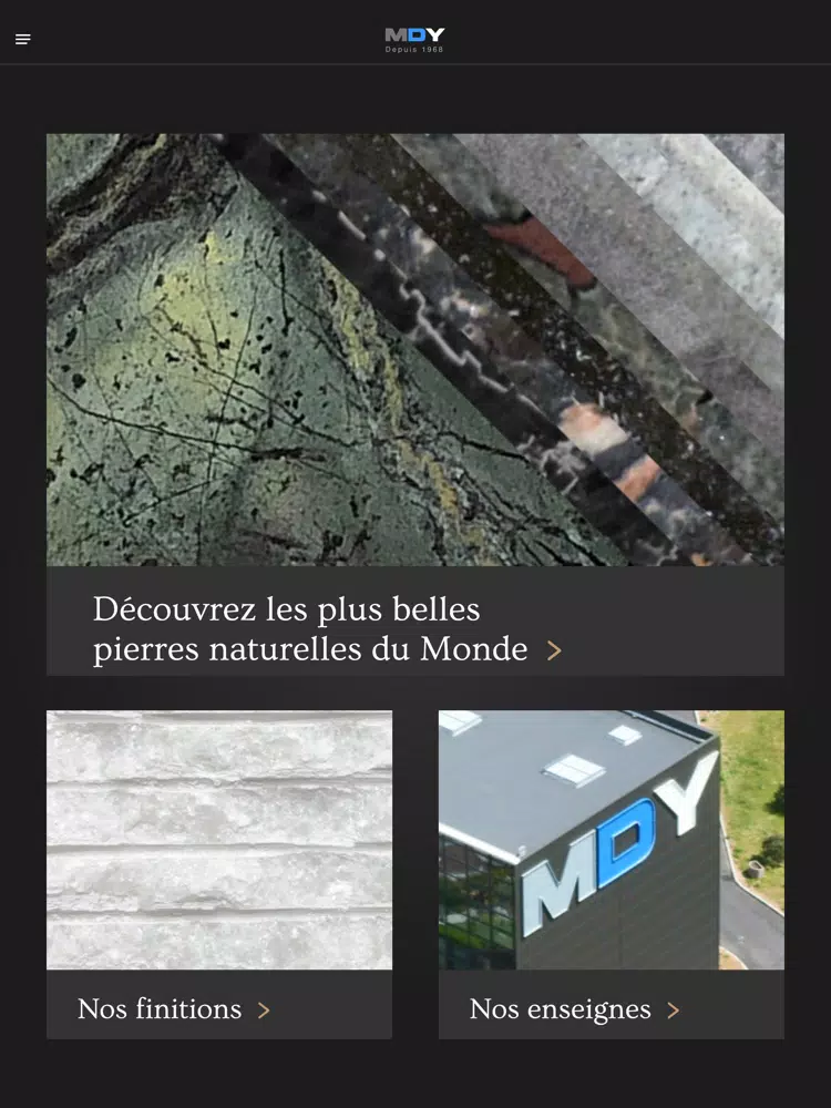MDY Stone color chart iPad 应用截图
