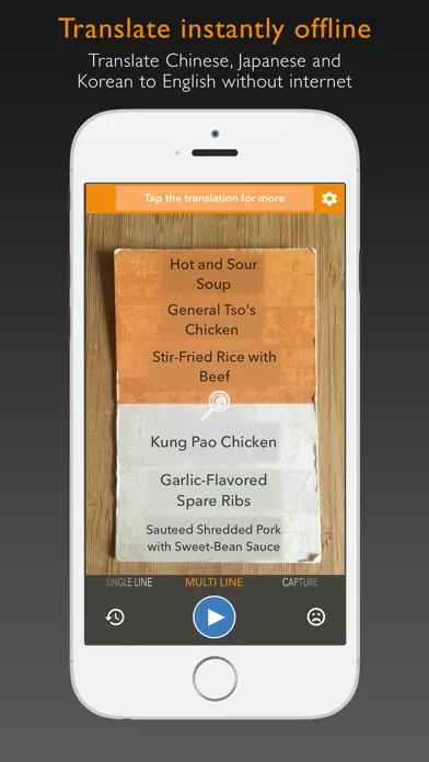 Captures d'écran de Waygo - Chinese, Japanese, and Korean Translator