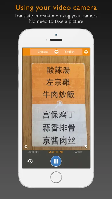 Captures d'écran de Waygo - Chinese, Japanese, and Korean Translator