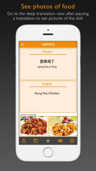 Captures d'écran de Waygo - Chinese, Japanese, and Korean Translator