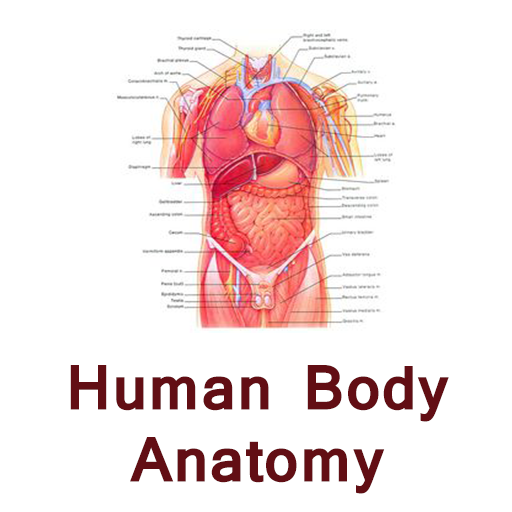 Human body anatomy tips hindi