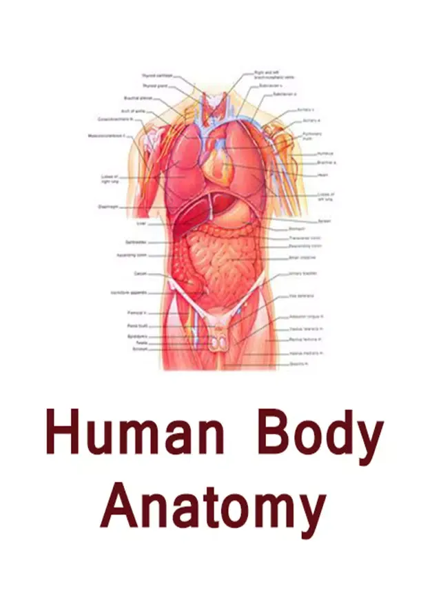 Human body anatomy tips hindi Screenshots