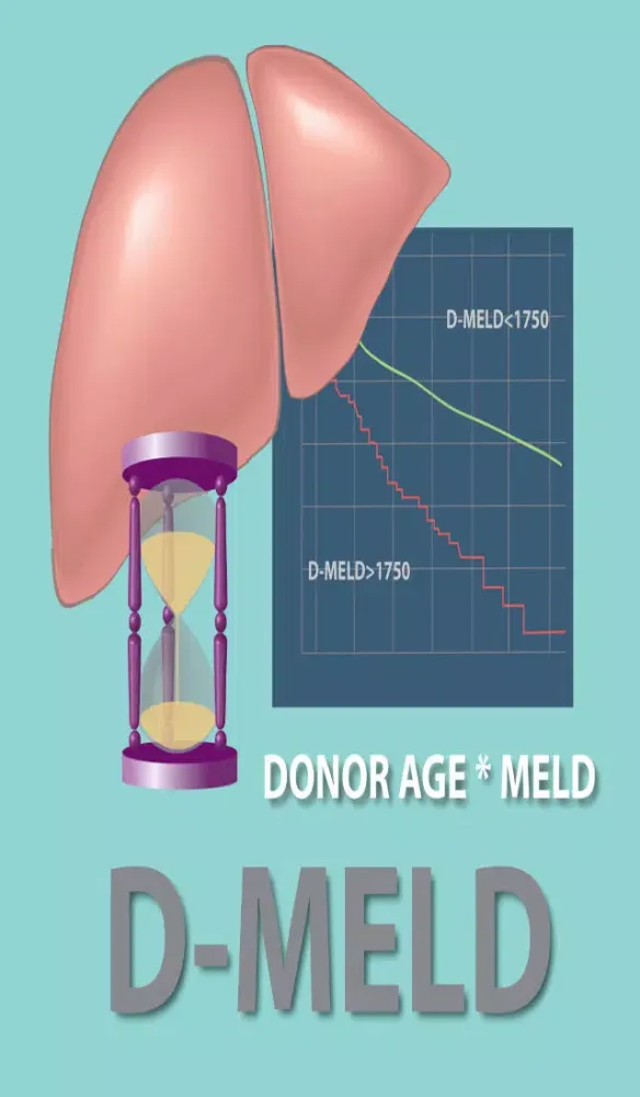 Tangkapan layar D-MELD Calculator