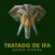 Museo Yoruba Tratado de IFA