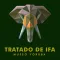 Museo Yoruba Tratado de IFA