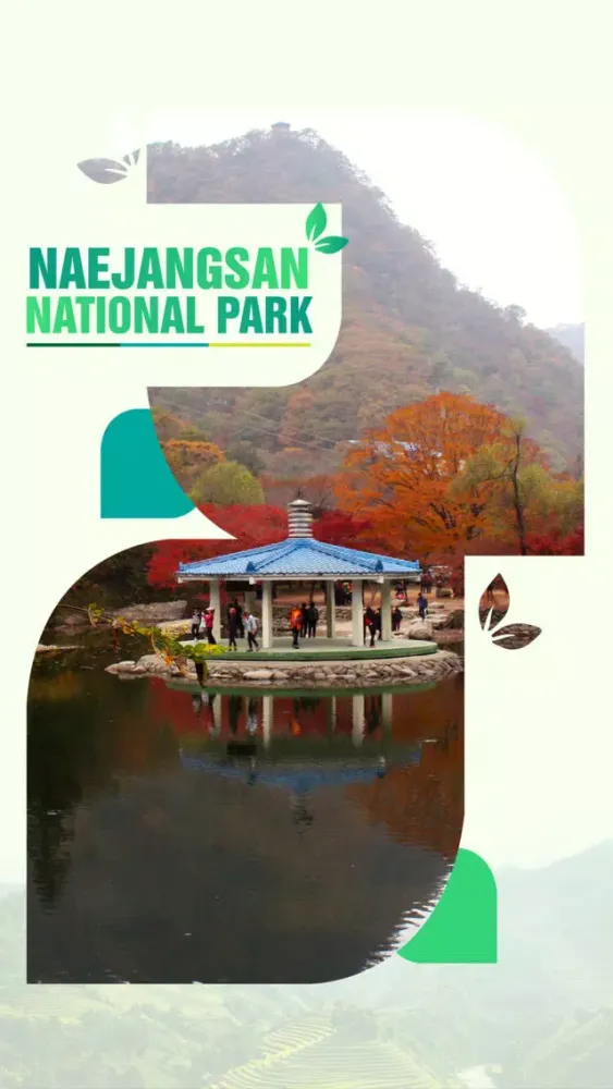 Zrzuty ekranu Naejangsan National Park Travel Guide