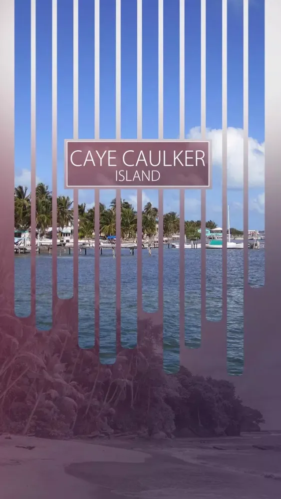 تصاویر Caye Caulker Island Travel Guide