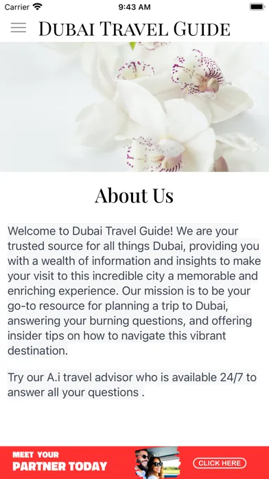 Dubai Travel Guide & Tips スクリーンショット