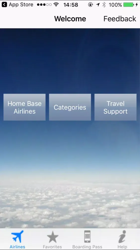 Airline Flight Check-In Europe Ekran Görüntüleri