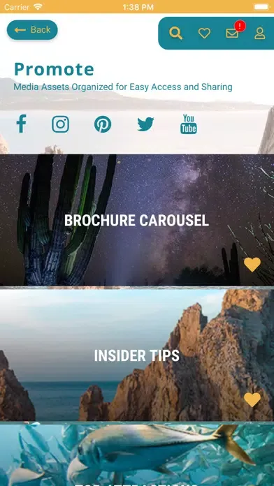 Ảnh chụp màn hình của Los Cabos Travel Pro
