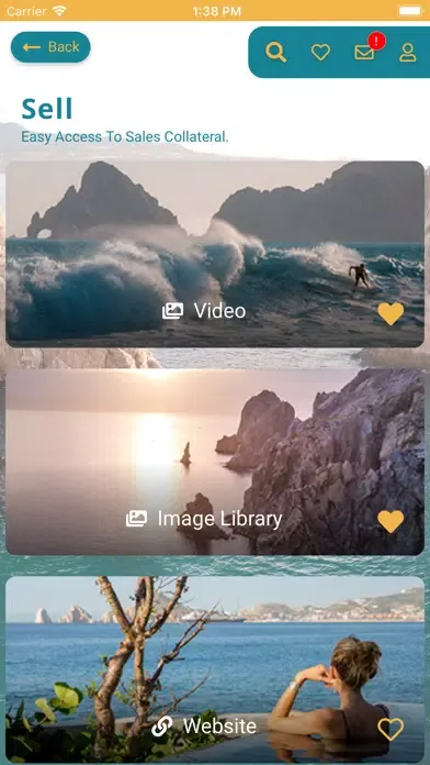 Ảnh chụp màn hình của Los Cabos Travel Pro