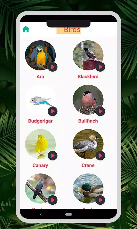 صور Animal & Bird Sounds