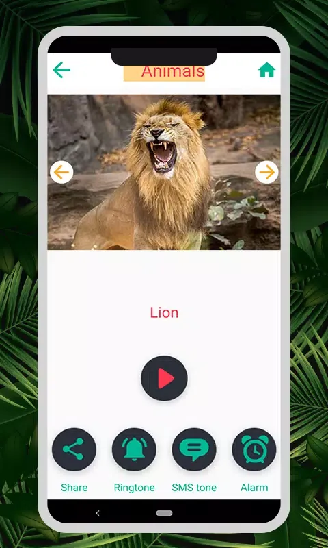 صور Animal & Bird Sounds