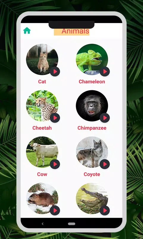 صور Animal & Bird Sounds