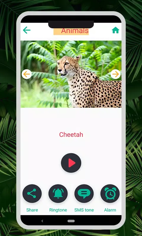 صور Animal & Bird Sounds