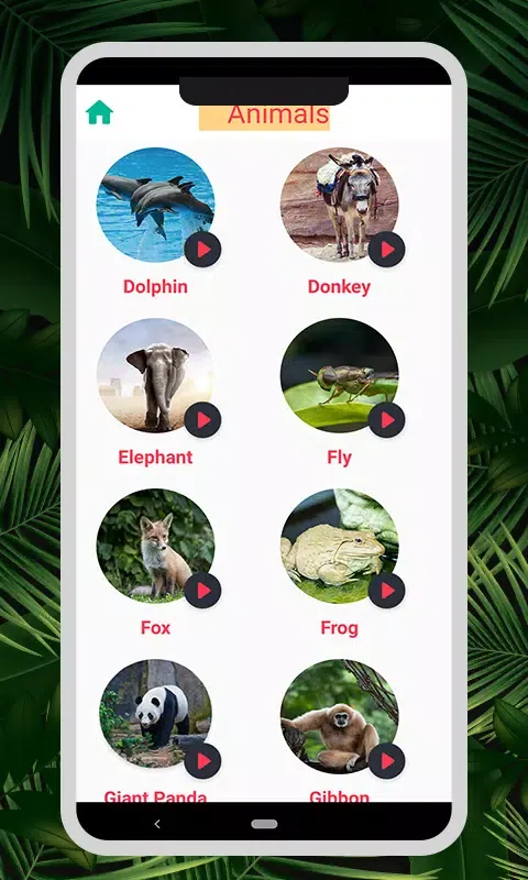 صور Animal & Bird Sounds