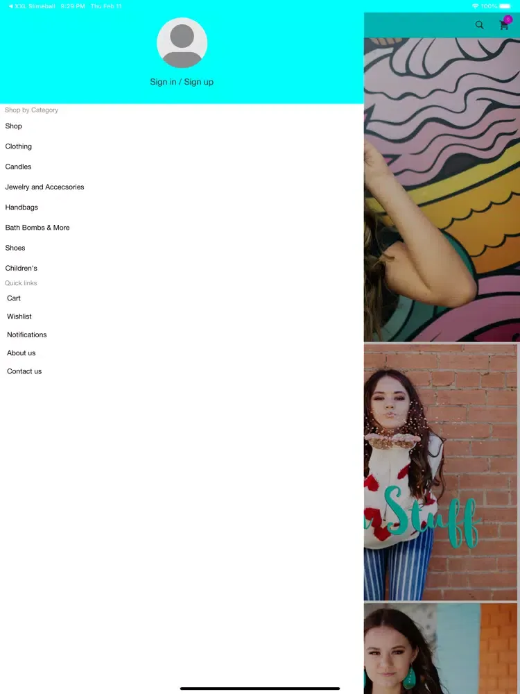 Trendy Kat Boutique iPad 应用截图