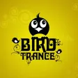 Bird Trance