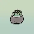 Smiley Succulents