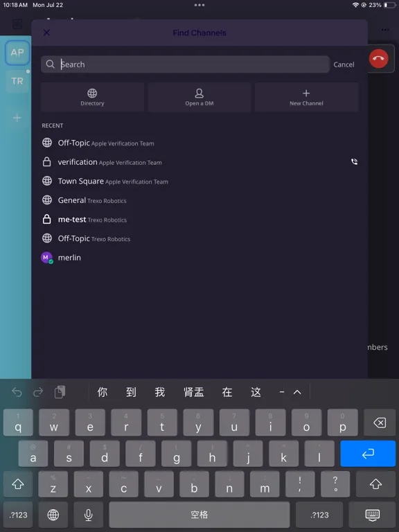 Trexo Chat iPad 應用截圖